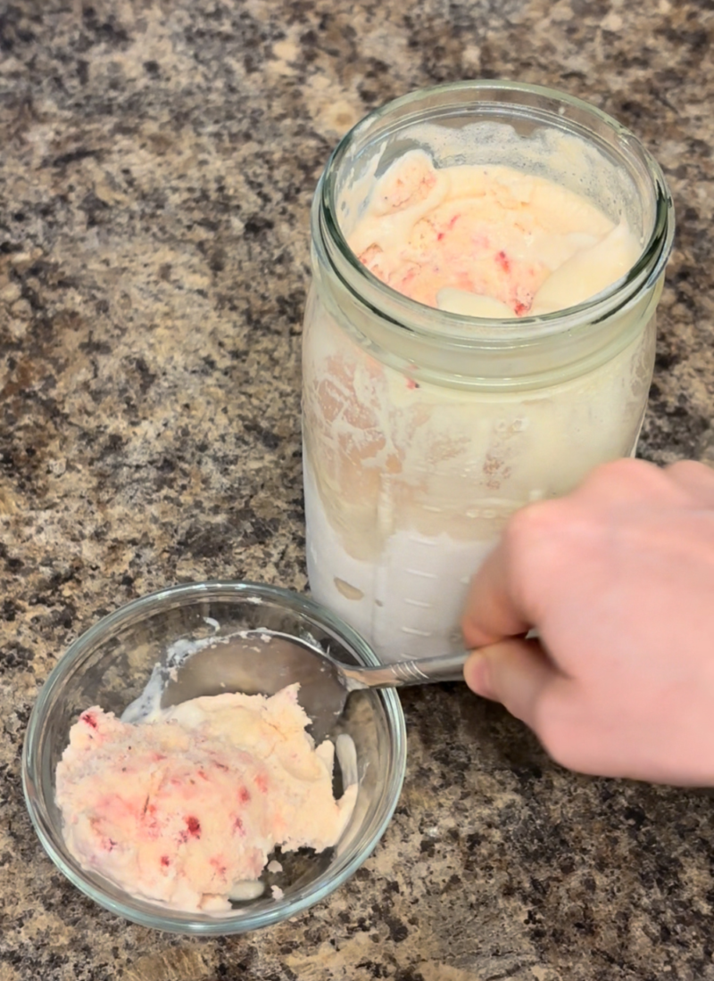 Homemade Animal Based Ice Cream (No Machine Needed!)